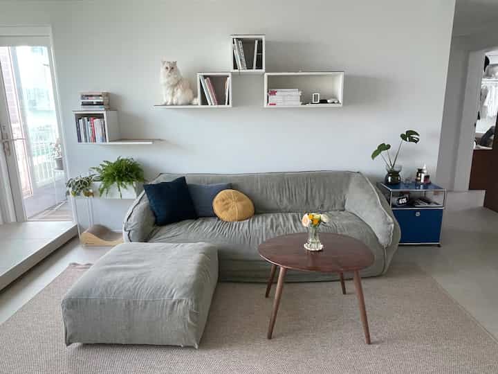 Living room with a gray sofa and beige rug featuring wall-mounted shelves with a cat, presenting a natural atmosphere