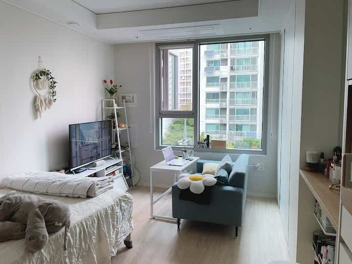 ホワイトとライトブラウンの色調の6坪オフィステル、ベッドとソファ、デスク、テレビ台が配置された清潔感のあるコンパクトな空間