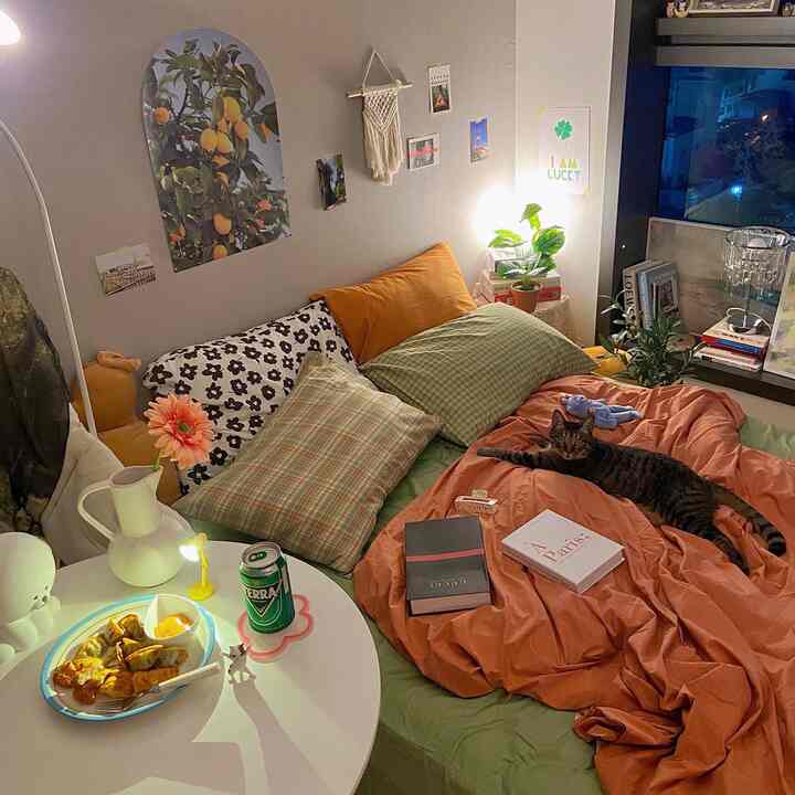 暖かいオレンジとグリーンのトーンの寝室、クッションと植物が配置され、ベッドの上に猫がくつろぐ雰囲気のあるインテリア