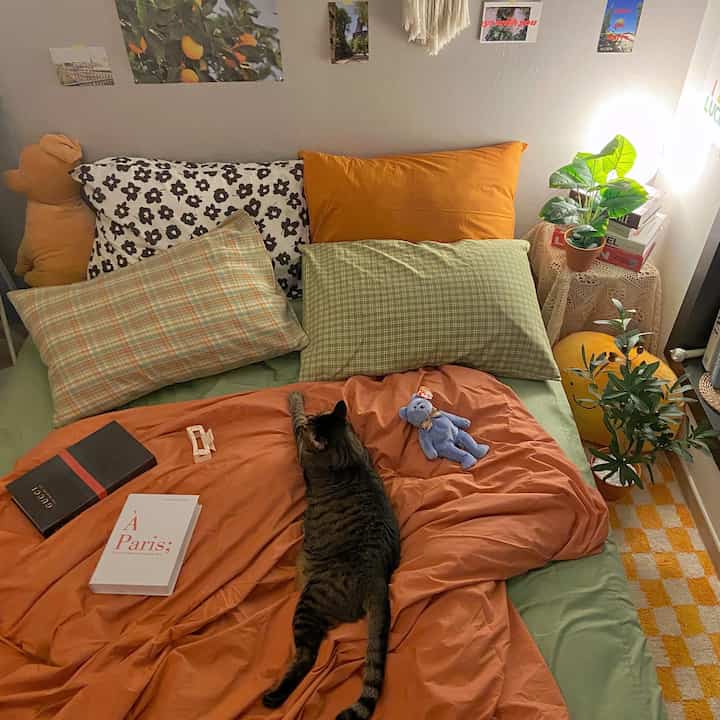 Warm orange and green toned bedroom featuring a bed with multiple cushions and plants creating a cozy atmosphere