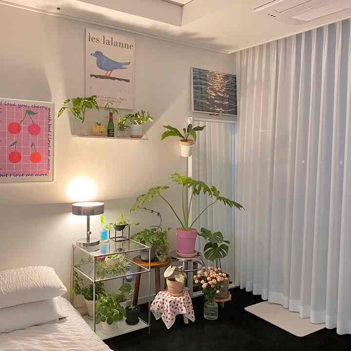 White-tone studio bedroom featuring various plants, curtains, and bedding creating a cozy plant interior space