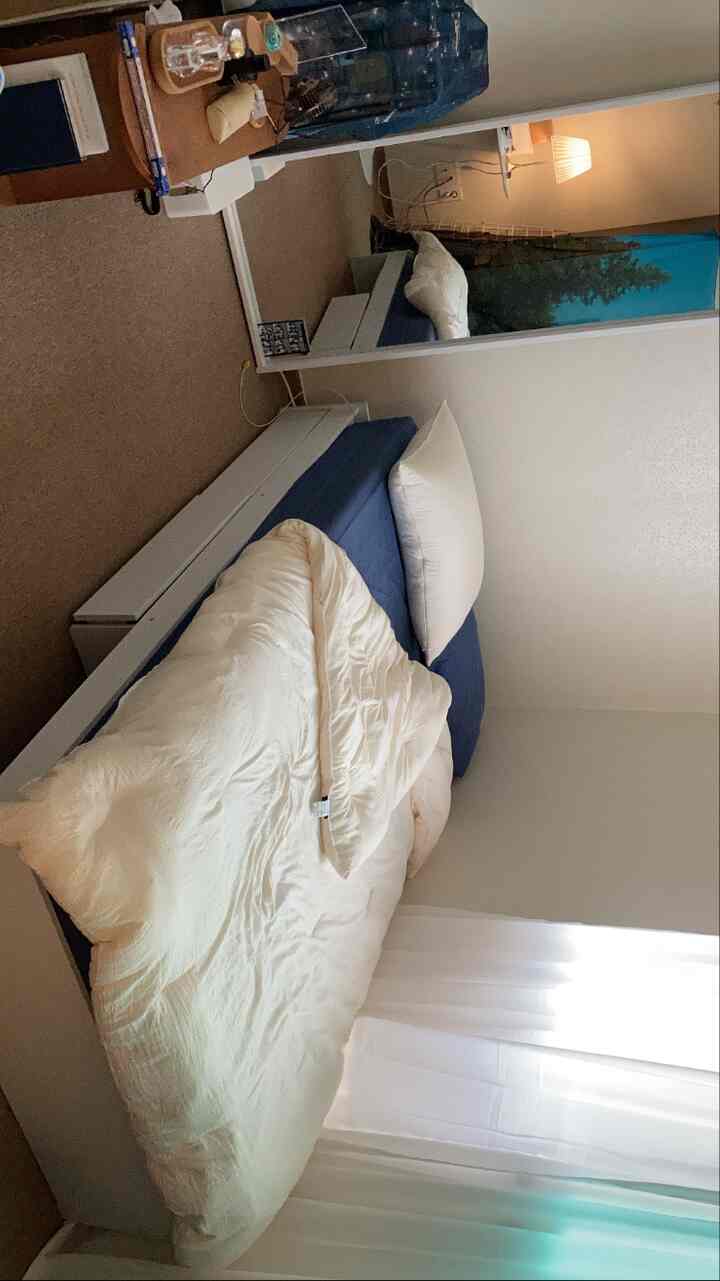 居心地が多彩に飾ろうとしました🐶