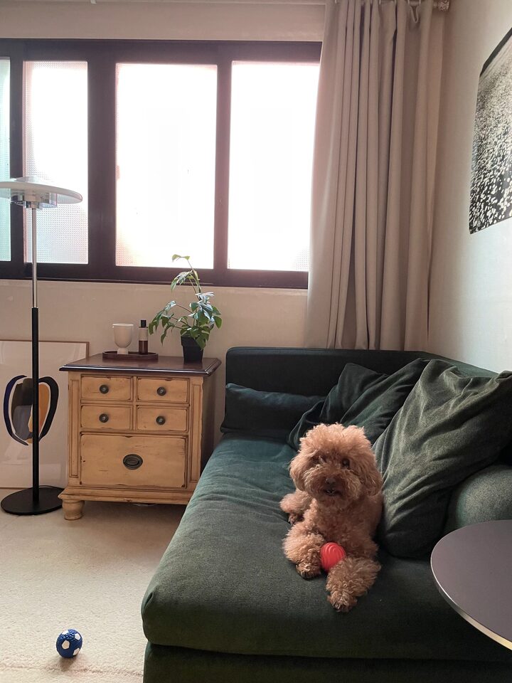 short form carousel card thumbnail