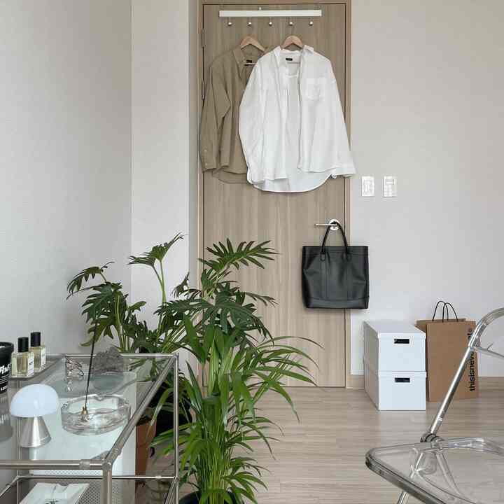 Natural-toned entrance space featuring a wooden door and green plants, creating a simple and clean atmosphere