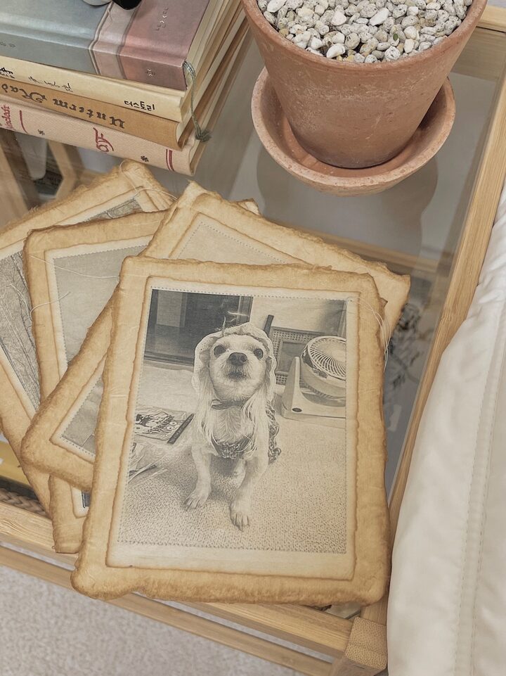 short form carousel card thumbnail