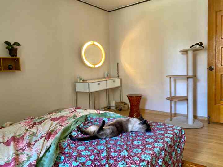 Natural toned bedroom featuring a centrally placed bed with a cat, accompanied by a cat tower and a circular objet lamp on the right