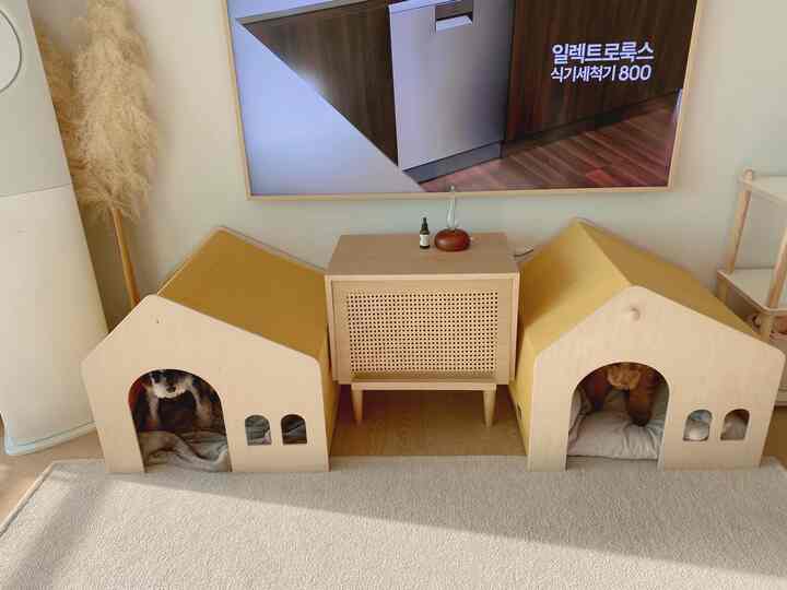 ナチュラルな木目調とイエローが調和したリビング、中央に2つのペットハウスとキャビネットが配置された雰囲気のある空間
