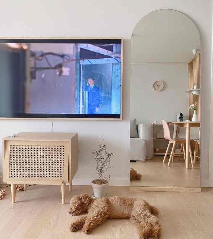 白い壁とナチュラルな木目調のリビング、アーチ型の大きな全身鏡とくつろぐペットがある雰囲気のあるインテリア