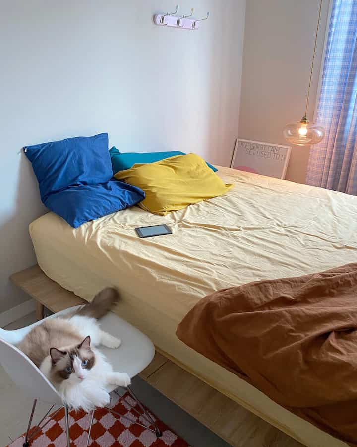 ベージュとブルーの色調の寝室、木目調のベッドフレームと黄色と青の枕が配置された、清潔で自然な雰囲気のある空間。白い椅子に猫が座っている