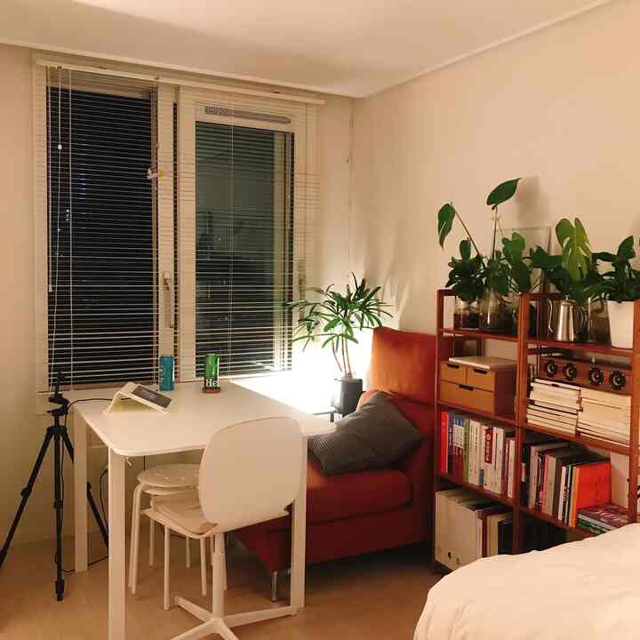 ホワイトとブラウン調のワンルーム、オレンジのソファと本棚、植物が配置された雰囲気のあるインテリア