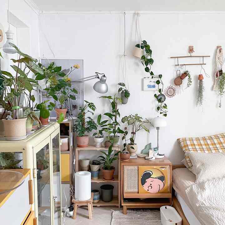 白い壁と木目調の家具、多数の緑の植物が配置された自然な雰囲気の寝室