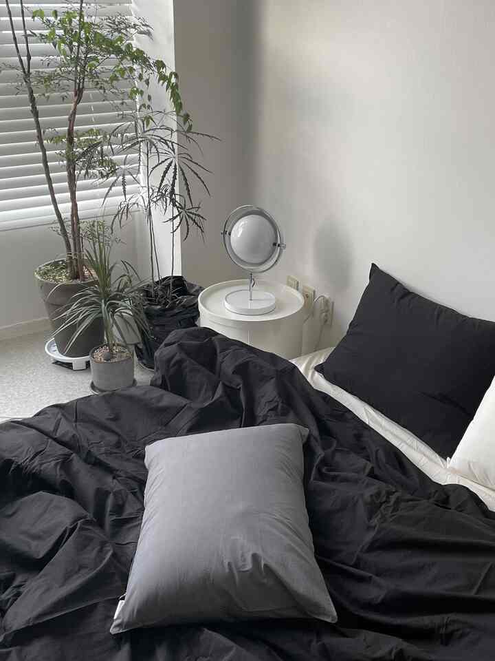 Black and white tone studio apartment bedroom featuring black bedding, pillows, and plants creating a clean space