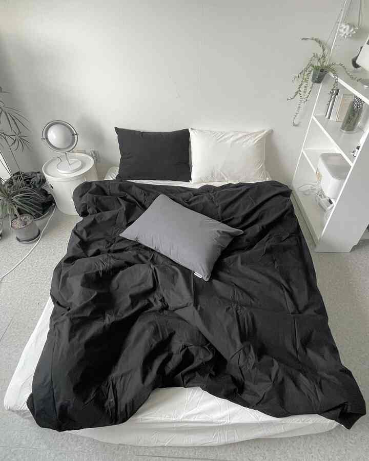 Black and white toned bedroom featuring a simple bed and plants creating a natural atmosphere in a studio space