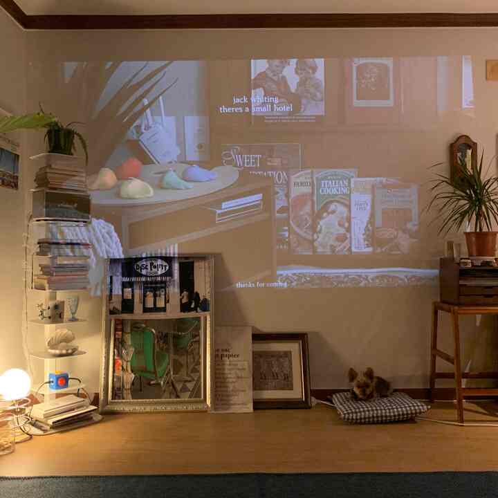 ナチュラルな色調のコンパクトなリビング、壁に大きなプロジェクター画面が映り、本棚や植物、クッションの上でくつろぐ犬が配置された雰囲気のあるインテリア