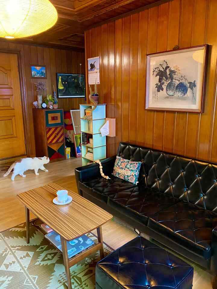 Warm wood tone walled living room featuring black leather sofa, coffee table, and a cat, creating a vintage cozy atmosphere
