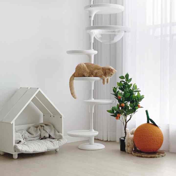 明るい白のトーンのリビングスペースにキャットタワーと犬用ハウス、植物が配置された清潔で居心地の良いペット向けの空間