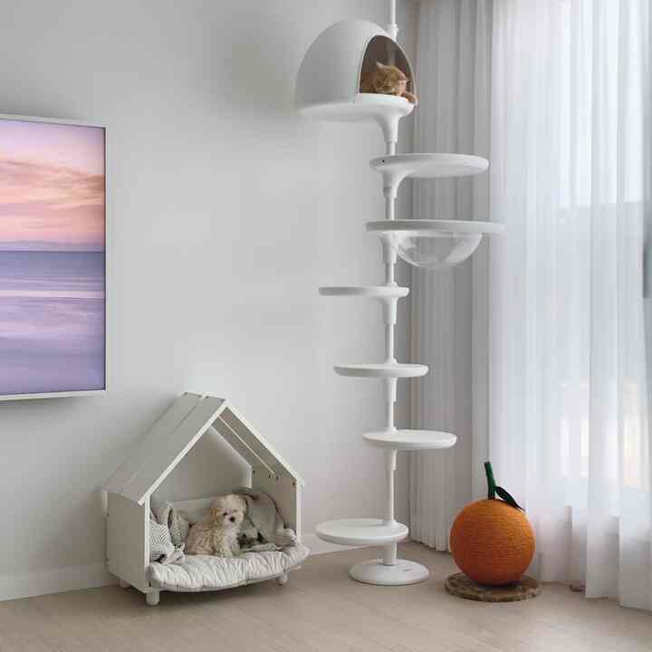 白とナチュラルトーンのリビング、犬用ハウスとキャットタワーにペットがくつろぐ雰囲気のあるインテリア