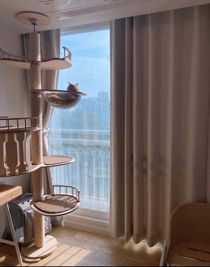 Soft beige-toned cozy cat room featuring a large wood-toned cat tower and blackout curtains with abundant natural light