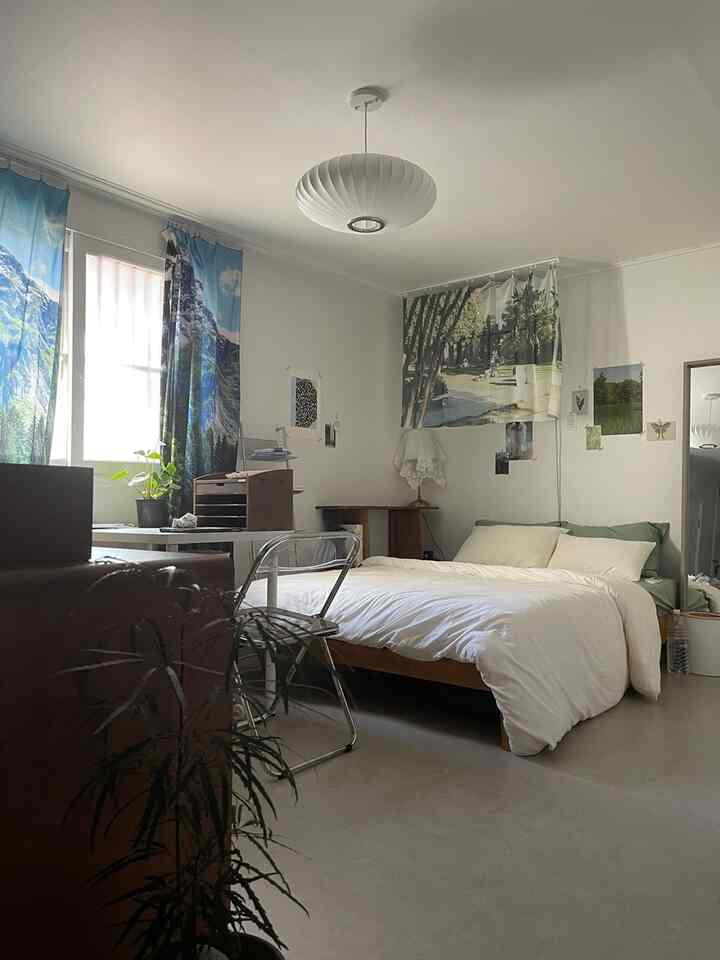 白と木目調のワンルーム寝室、ベッドとデスク、植物が配置された雰囲気のあるナチュラルモダンな空間