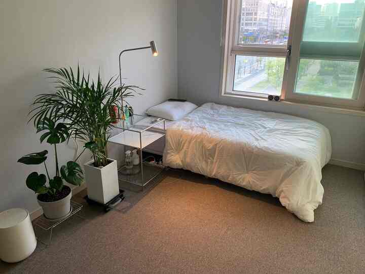 Simple natural bedroom with white bedding and green plants near a window