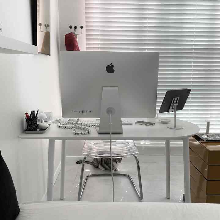 白を基調としたホームオフィス空間、デスクと透明な椅子が配置され、床に猫がいる清潔感のあるインテリア