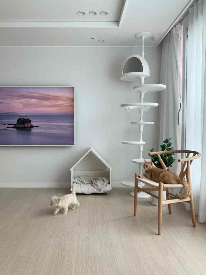 白と木目調のリビング、椅子に座る猫と床を歩く小さな犬がいるシンプルで落ち着いた空間