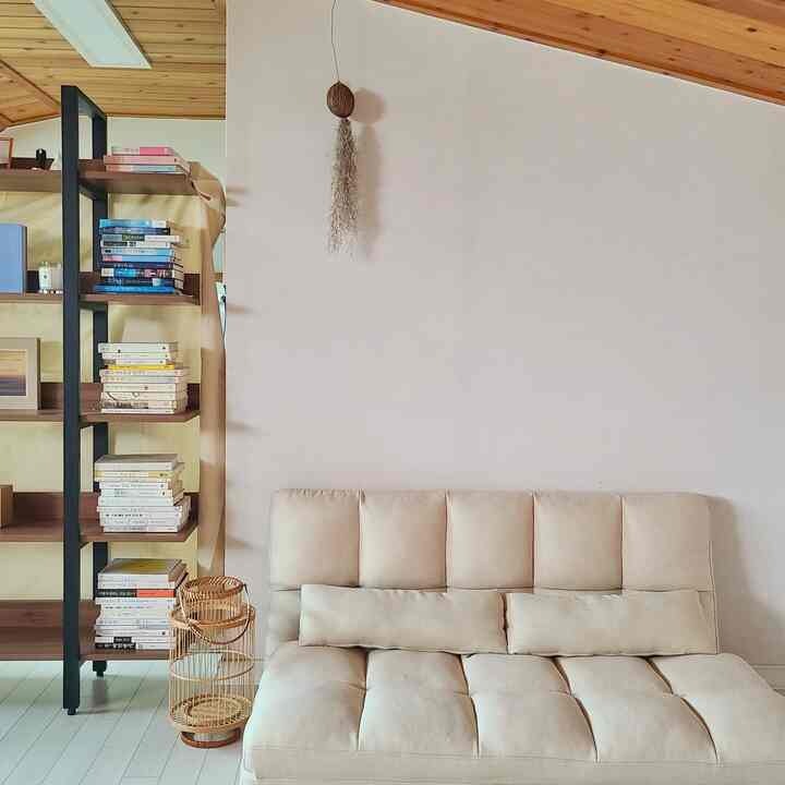 Beige-toned living room featuring a foldable sofa bed and bookshelf, exhibiting a comfortable and natural interior ambiance