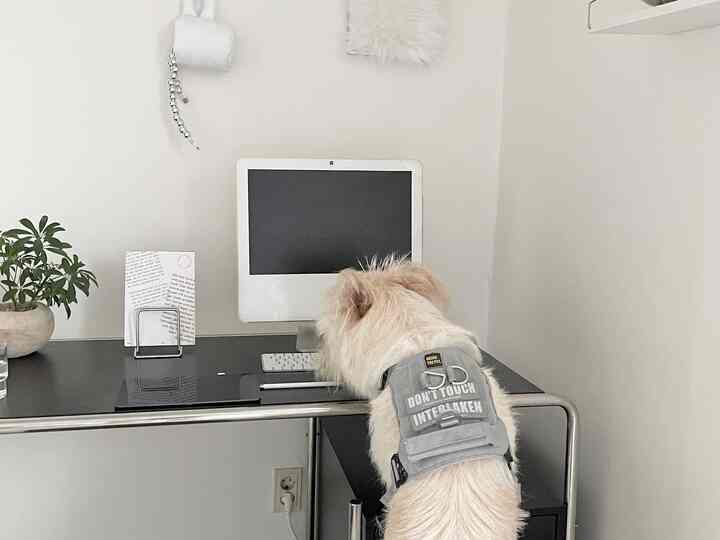 ブラックのデスクと白いコンピュータが配置されたモダンなホームオフィス、机に座る犬が見える