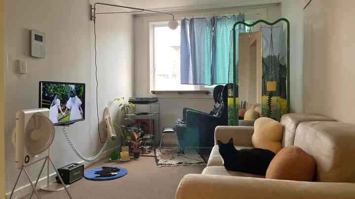 Bright living room with a beige sofa and a black cat, featuring blue curtains at a large window