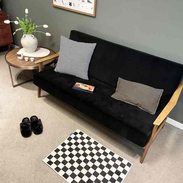 Black and white monotone Mid-Century Modern living room featuring black sofa with checkerboard cushions and rug creating a harmonious space