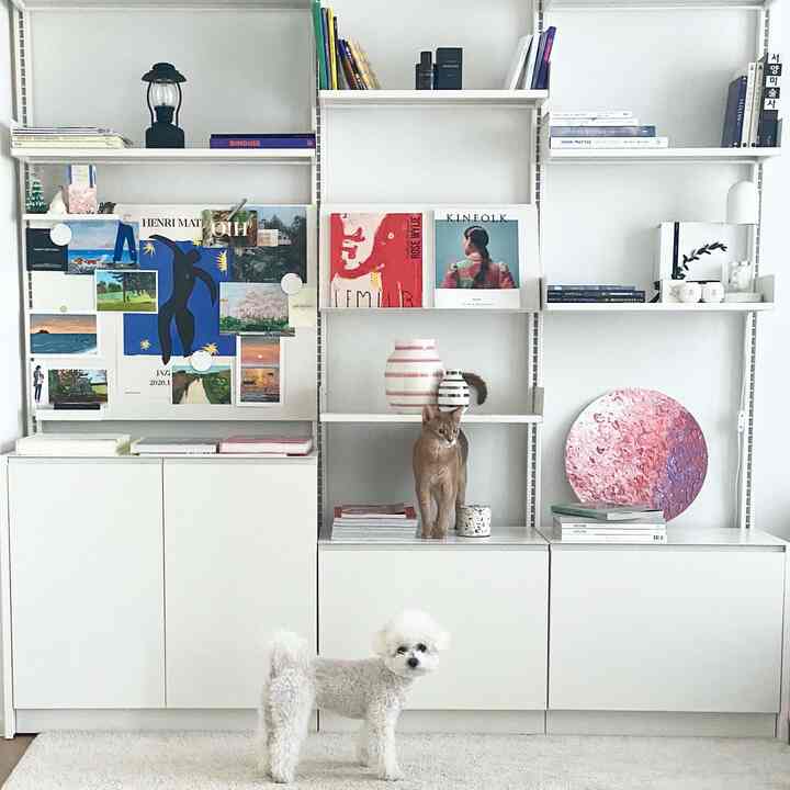 Minimal white-toned living room featuring modular shelves and storage with a cat and dog present, creating a cozy atmosphere
