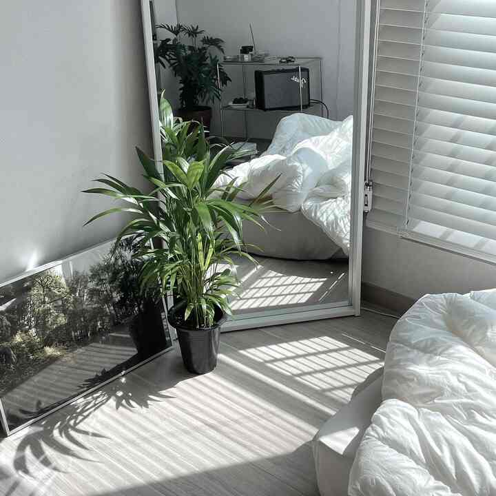 Bright bedroom with white bedding, wood tone flooring, a full-length mirror and plants bathed in sunlight