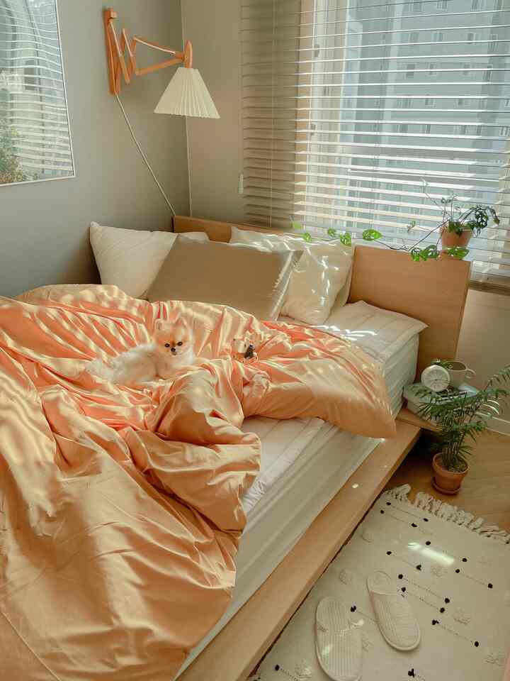 温かみのあるウッドトーンとイエローが調和した寝室、ペットと共にくつろぐ快適な寝具の空間