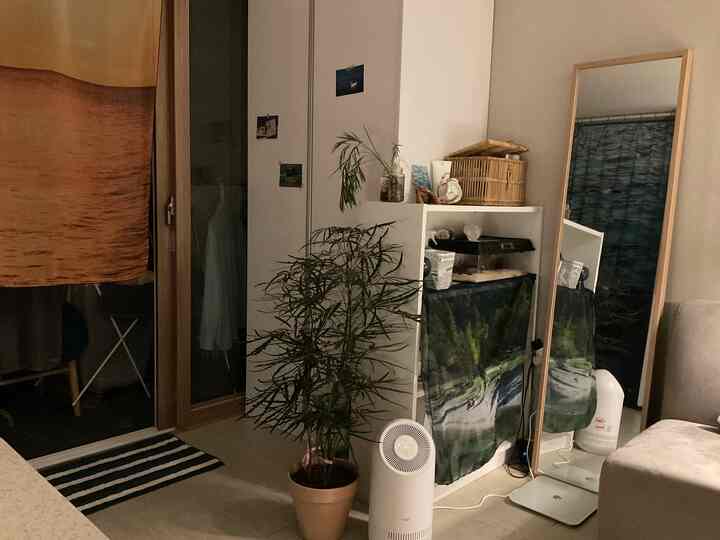 Beige and white toned living room featuring a large built-in closet, full-length mirror, fabric poster, creating a cozy atmosphere