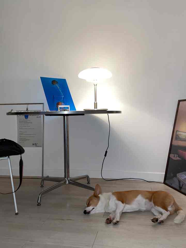 ナチュラルカラーでシンプルモダンな空間、丸テーブルとテーブルランプが配置され、床に横たわる犬が見られるくつろぎのインテリア