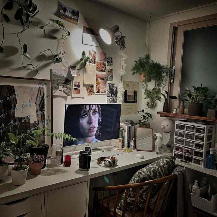 私が一番時間を過ごす作業室兼植物部屋ですマダガスカルとポスターが合っているのがポイントです🙂