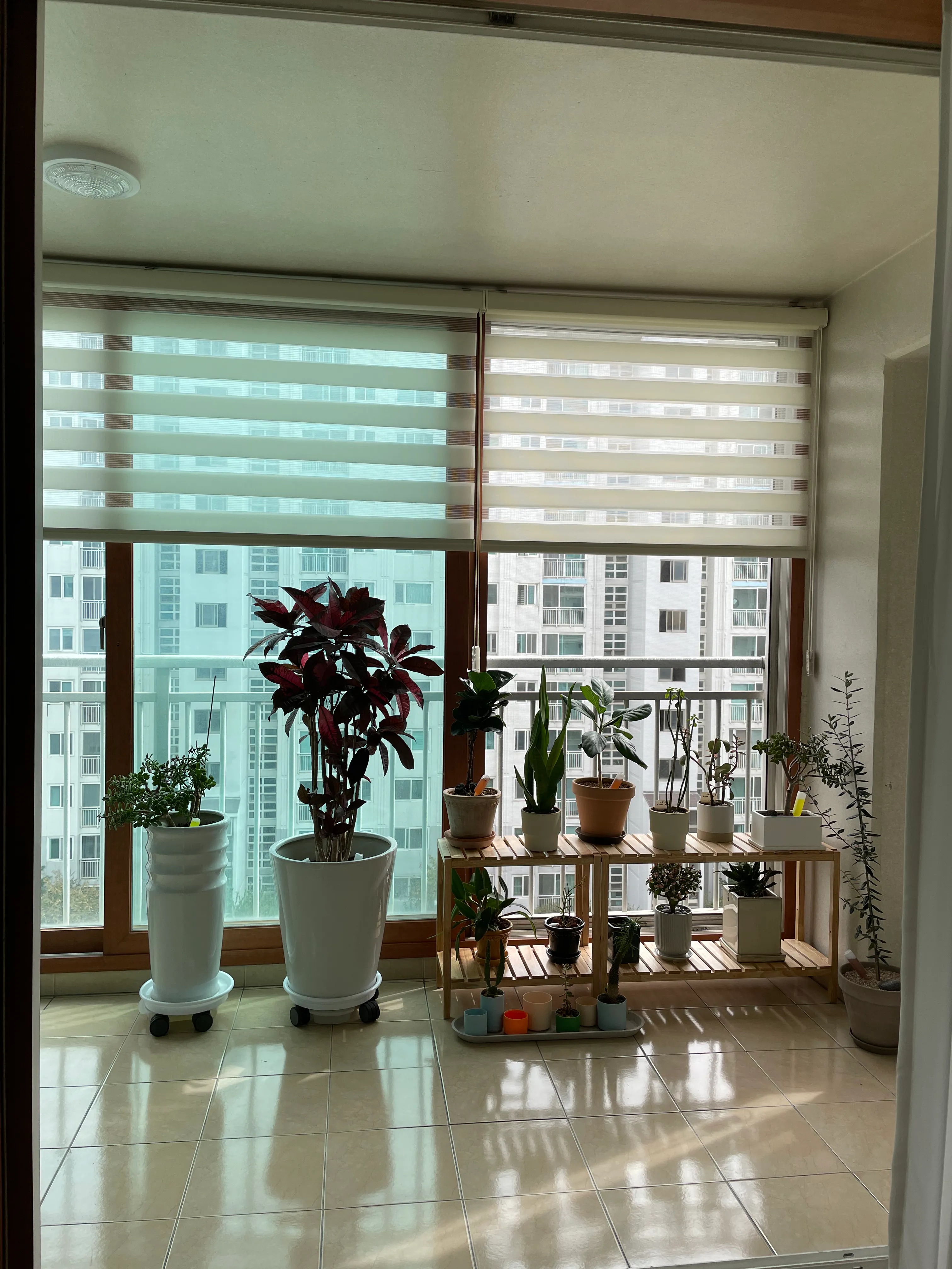 Solid Wood Plant Stand user photo