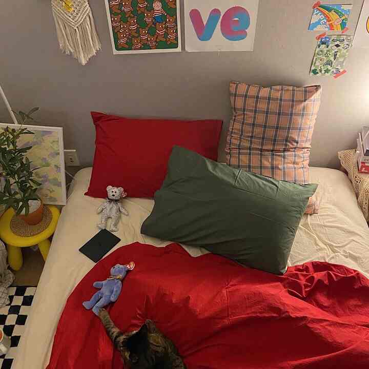 A natural-toned bedroom with red bedding and multicolored pillows, a small cat is resting on the bed