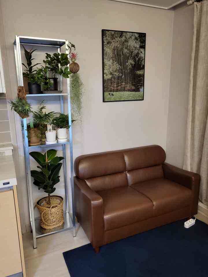Beige-toned living room featuring a brown leather sofa and metal shelf adorned with various plants