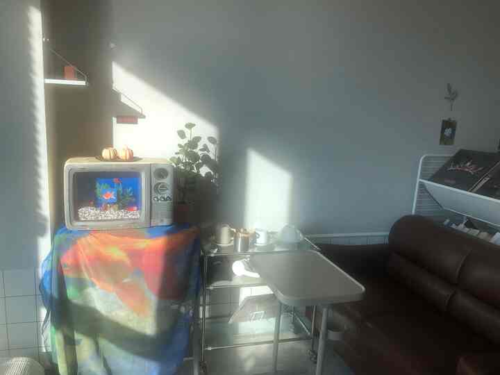 日の光が差し込む白い壁のワンルームリビング、レトロなテレビの上にカラフルな布が掛けられ、ブラウンレザーのソファとお茶セットが配置された温かみのある空間