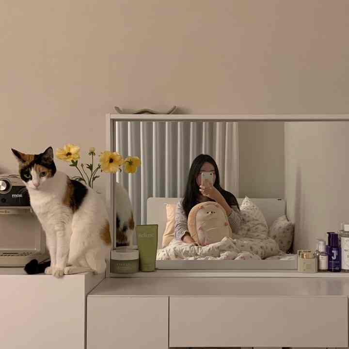 ナチュラルなベージュトーンの寝室、化粧台と鏡の上に猫がいる温かみのある空間