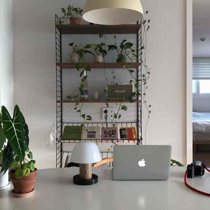 White and wood tone dining room with plants and shelves, a minimal and natural home office setup