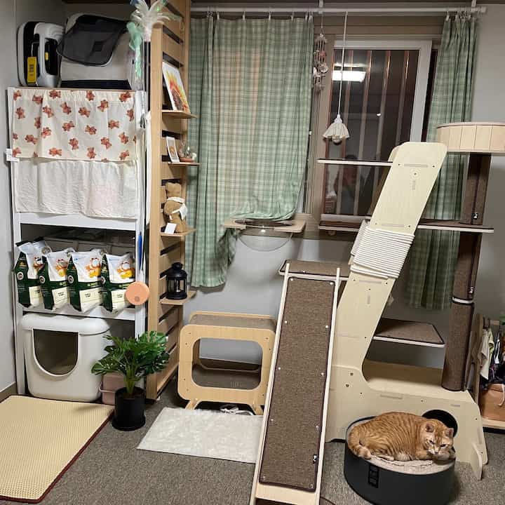 Wood tone and green check curtains define this walk-in closet style cat room featuring a large cat tower and storage shelves