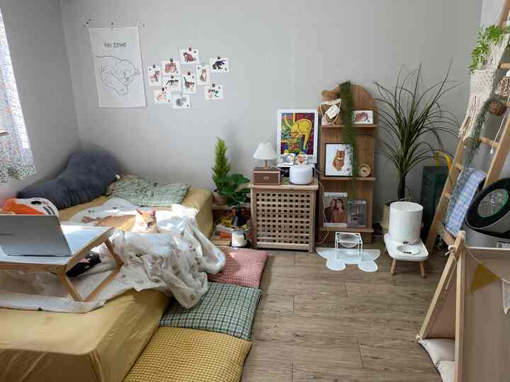 Cozy bedroom with wood tone flooring and gray walls featuring a cat, pet supplies, nightstand, plants, and checkered cushions