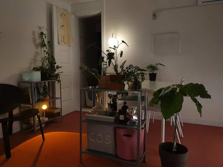 Modern dining room with pink carpet, central metal shelf, and lush plants creating a cozy atmosphere