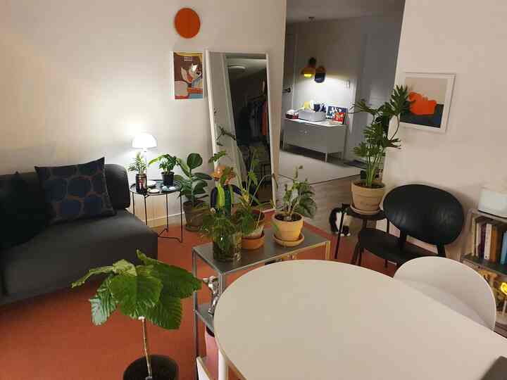 Modern living room with pink carpet and abundant plants, featuring a sofa and round table in a cozy atmosphere