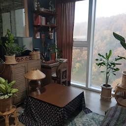 집 앞 산이 붉게 물들었다🍂
오하우스 시즌5가 시작되었고 코타츠도 새로 사고 두툼한 패브릭들을 꺼내는중이다.