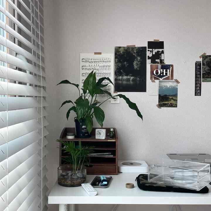 A simple home office with white and wood tones, featuring plants and posters on a clean desk for an organized remote work setting