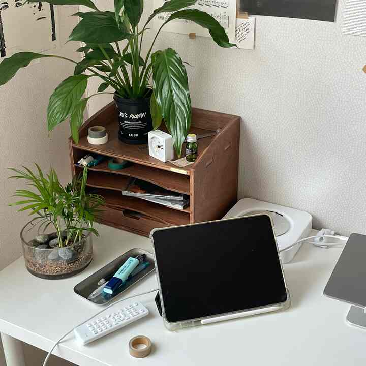 Modern home office featuring a white desk with wooden storage box, iPad Pro, and green plants arranged neatly