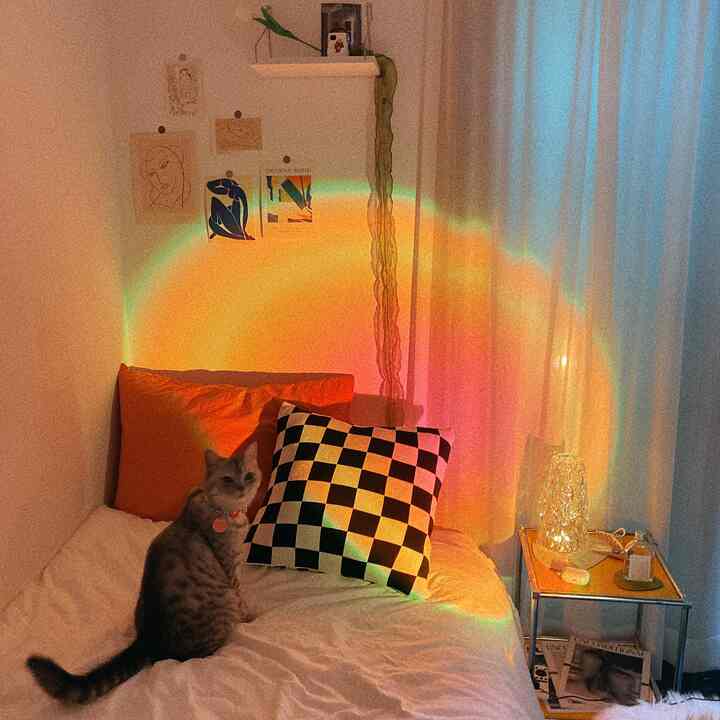 温かいオレンジの光に包まれた、猫と白いベッド、黒のチェッカーボードクッションが配置されたモダンな寝室のインテリア